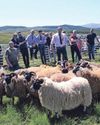 Dumfries and Galloway Standard
