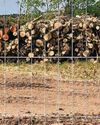 Community outrage after developer fells 137 trees4