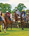 Sunshine draws thousands of revellers to city's racecourse for Gold Cup Day18