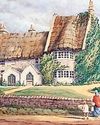 Super story of thatched cottage survival26