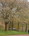Council Plans to make parks pay despite 'challenges and conflicts' Council Plans to make parks pay despite 'challenges and conflicts'6
