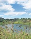 Wildlife 'outsourced' City habitats being lost and replaced elsewhere1