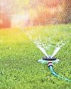 How to keep your lawn lush62