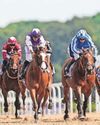 Racing Zanndabad is one to watch out for in the Northumberland Plate36