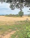 Housing battle MP 'disappointed' at developer's bid to build on green belt5