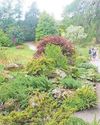 Summer days out52