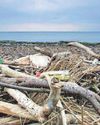 Pressure is on to secure world’s first treaty on plastic pollution21