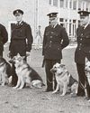 DIAL K99934