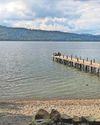Water tests reveal 'worrying' pollution at Windermere18