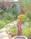 Expert advice How to garden if you rent Expert advice How to garden if you rent68
