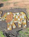 Jumbo mosaic at zoo farm's pumpkin patch Jumbo mosaic at zoo farm's pumpkin patch5