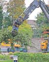 Felled marriage 'Tree husbands' get the chop as bulldozers move in Bristol Post