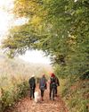 Looking forward to a brilliant autumn36