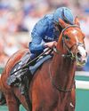 Champions Day's proved no stranger to surprises Champions Day's proved no stranger to surprises41