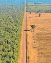Supermarkets warned over animal feed products from deforested land Supermarkets warned over animal feed products from deforested land27