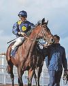 Accredit is given the stamp of approval at Haydock meet Accredit is given the stamp of approval at Haydock meet39