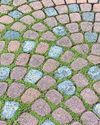 A third of back gardens paved A third of back gardens paved20