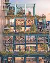 Foodie favourite Cargo shipping containers to stay for two more years2