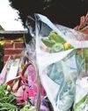 Bristol Post