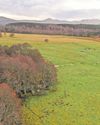 Nature reserve expansion aims to help endangered species15