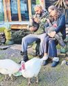 Happy Christmas for turkeys saved from the table3