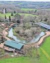 Zoo Project's African Forest to open next month7