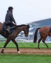 CHELTENHAM 202635