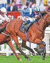 Eight horses which could be worth following on the flat41