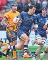 BEARS TURN TO ARGENTINA STAR51