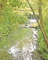 River alert Warning to bathers and dog owners after E.coli tests9