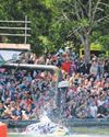 Swooping back Birdmen set to make a splash20