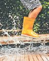 Rain gardens make a splash44