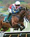 Skelton has Ace to play at Ayr Skelton has Ace to play at Ayr