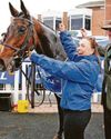 Mullins narrows title gap with superb Ayr one-two Mullins narrows title gap with superb Ayr one-two