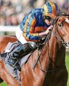 Lake Victoria could be fit for Guineas - Aidan Lake Victoria could be fit for Guineas - Aidan