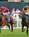 New Century is Craven pick