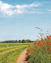 Plans for wildlife 'went out of the window' Plans for wildlife 'went out of the window'