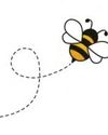 'Bees are really important' 'Bees are really important'
