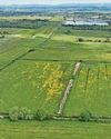 £5m wetland plan to filter pollution the natural way £5m wetland plan to filter pollution the natural way