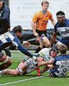 Tigers inflict bruising home defeat on the Bears Tigers inflict bruising home defeat on the Bears