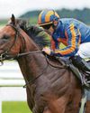 The Lion In Winter looks set to roar again at York The Lion In Winter looks set to roar again at York