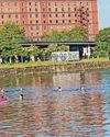 Spotlight on reforms and water quality as bathing season starts Spotlight on reforms and water quality as bathing season starts