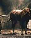 Stunning insight into life as a soldier30