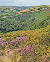 Exploring land which inspired evocative tale of romance36