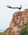 Delightful sights, history and a touch of luxury32
