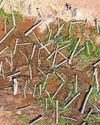river restoration weather drought26