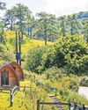 Fresh chapter for camp in Lorna Doone country12