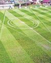 Pitch perfect! Groundsman's mow creations break internet1
