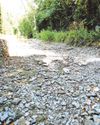 Heat health alerts issued as hosepipe bans arrive9