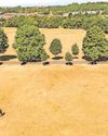 'UK way of life' under threat from the changing climate11